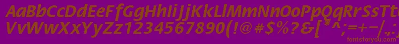 FiestaRegular Font – Brown Fonts on Purple Background