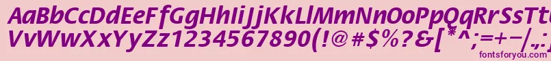 FiestaRegular Font – Purple Fonts on Pink Background