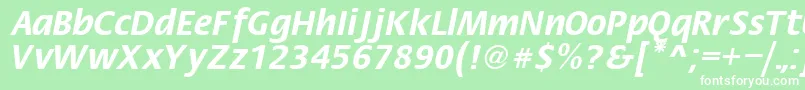 FiestaRegular Font – White Fonts on Green Background