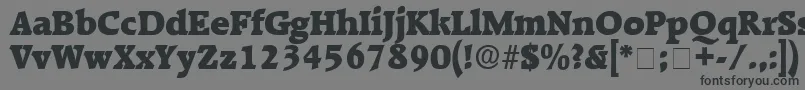 KaroaDisplaySsi Font – Black Fonts on Gray Background