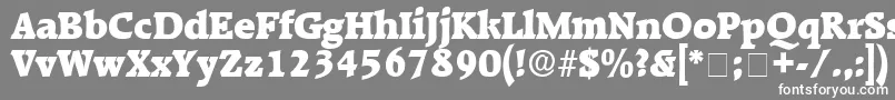 フォントKaroaDisplaySsi – 灰色の背景に白い文字