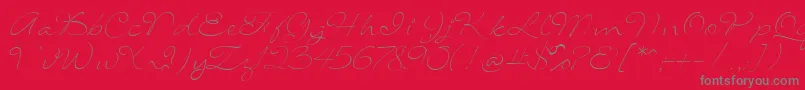 SignaritaLouisseThin-Schriftart – Graue Schriften auf rotem Hintergrund