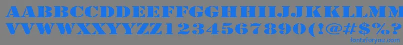 ArmyExpanded Font – Blue Fonts on Gray Background