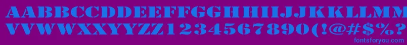 ArmyExpanded Font – Blue Fonts on Purple Background