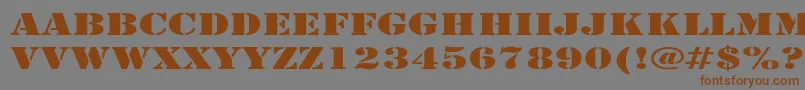 ArmyExpanded Font – Brown Fonts on Gray Background