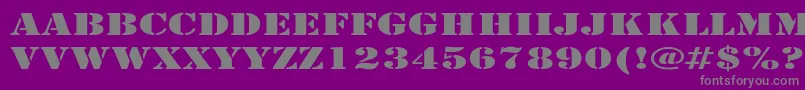 ArmyExpanded Font – Gray Fonts on Purple Background