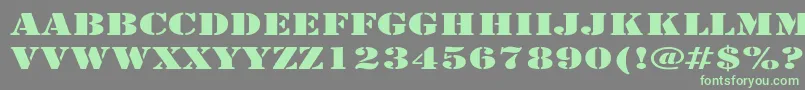 ArmyExpanded Font – Green Fonts on Gray Background