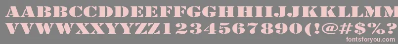ArmyExpanded Font – Pink Fonts on Gray Background