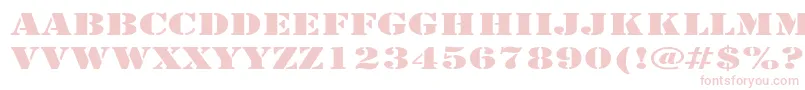 ArmyExpanded Font – Pink Fonts on White Background
