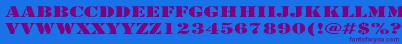 ArmyExpanded Font – Purple Fonts on Blue Background