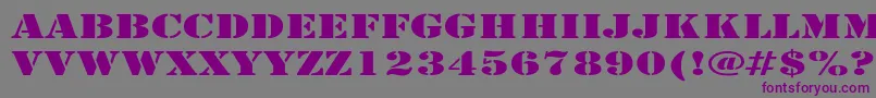 ArmyExpanded Font – Purple Fonts on Gray Background