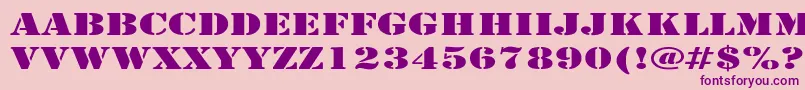 ArmyExpanded Font – Purple Fonts on Pink Background