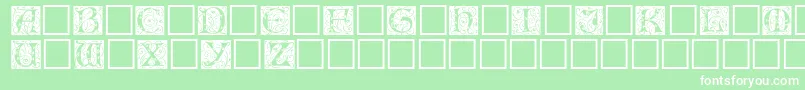 Eicap ffy Font – White Fonts on Green Background