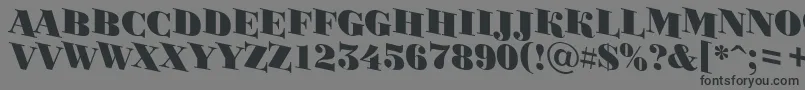 BodoniortotitulspdnBlack-Schriftart – Schwarze Schriften auf grauem Hintergrund