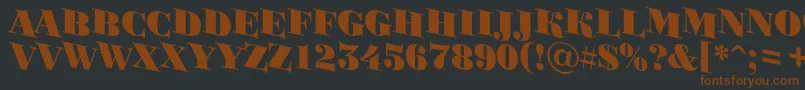 BodoniortotitulspdnBlack Font – Brown Fonts on Black Background