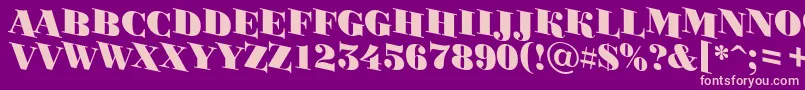 BodoniortotitulspdnBlack Font – Pink Fonts on Purple Background