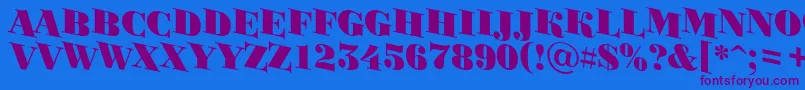 BodoniortotitulspdnBlack Font – Purple Fonts on Blue Background