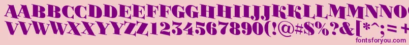 BodoniortotitulspdnBlack Font – Purple Fonts on Pink Background