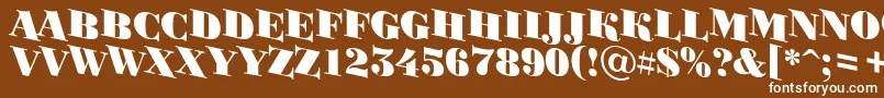 BodoniortotitulspdnBlack Font – White Fonts on Brown Background