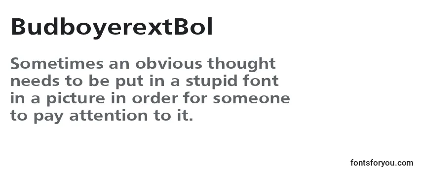 Review of the BudboyerextBol Font