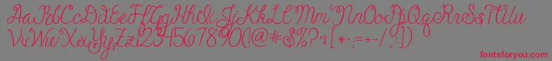 Jandacheerfulscript Font – Red Fonts on Gray Background