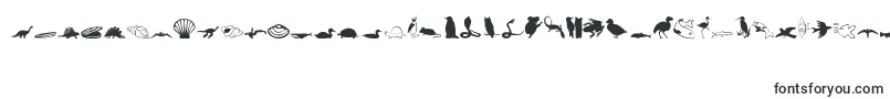 Animals1Regular Font – Fonts for Microsoft Word