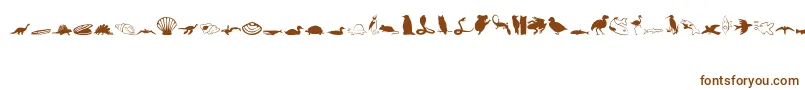 Animals1Regular Font – Brown Fonts on White Background