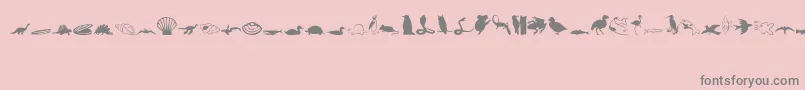 Animals1Regular-Schriftart – Graue Schriften auf rosa Hintergrund