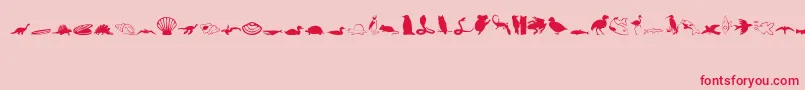 Animals1Regular-Schriftart – Rote Schriften auf rosa Hintergrund