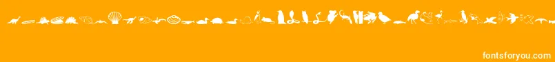 Animals1Regular Font – White Fonts on Orange Background