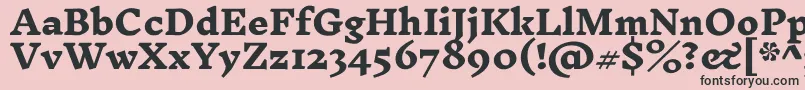 InknutantiquaExtrabold Font – Black Fonts on Pink Background