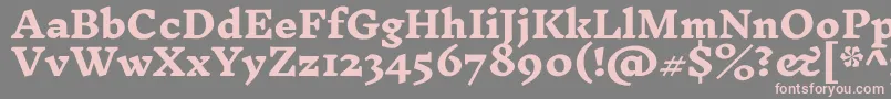 InknutantiquaExtrabold-fontti – vaaleanpunaiset fontit harmaalla taustalla
