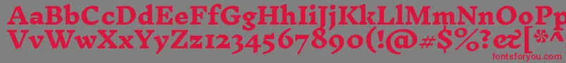 InknutantiquaExtrabold Font – Red Fonts on Gray Background