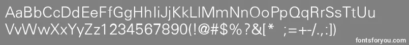 InsularThinLight Font – White Fonts on Gray Background