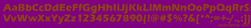 EnnisBold Font – Brown Fonts on Purple Background