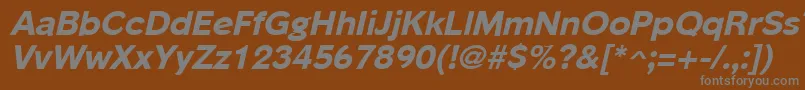PhinsterExtraboldItalic Font – Gray Fonts on Brown Background