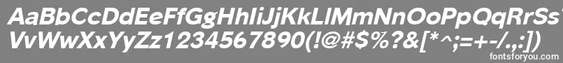 PhinsterExtraboldItalic Font – White Fonts on Gray Background