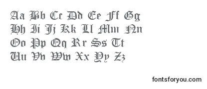 Обзор шрифта OttomanRegularDb