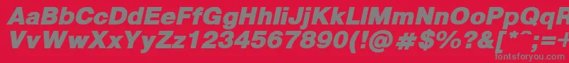 PragmaticaBlackItalic Font – Gray Fonts on Red Background