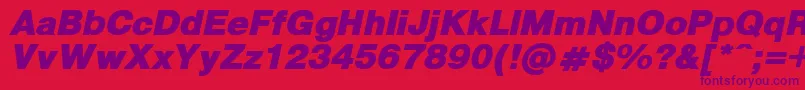 PragmaticaBlackItalic Font – Purple Fonts on Red Background