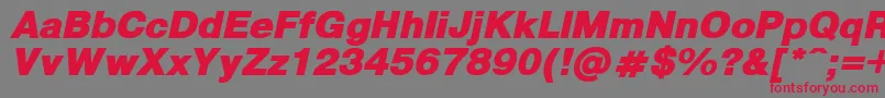 PragmaticaBlackItalic Font – Red Fonts on Gray Background