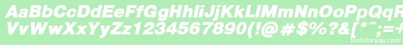 PragmaticaBlackItalic Font – White Fonts on Green Background