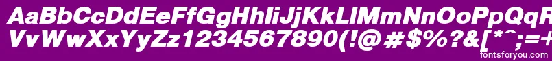 PragmaticaBlackItalic Font – White Fonts on Purple Background
