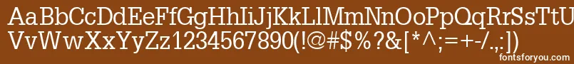 InstallationsskRegular Font – White Fonts on Brown Background