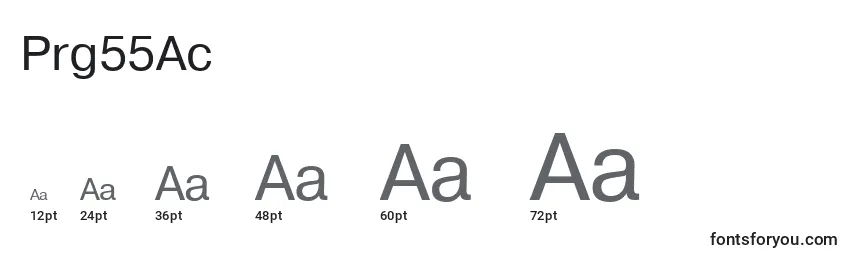 Prg55Ac Font Sizes