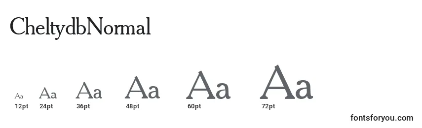 Размеры шрифта CheltydbNormal