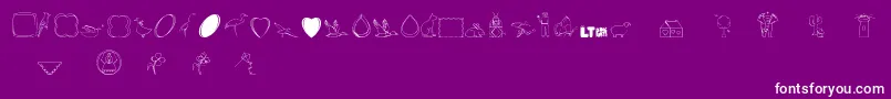 Calikatspathdrawslt Font – White Fonts on Purple Background