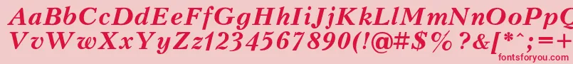 Peterburg ffy Font – Red Fonts on Pink Background