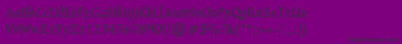 フォントOxford – 紫の背景に黒い文字