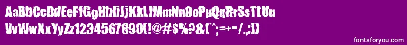 FenderBenderFont Font – White Fonts on Purple Background